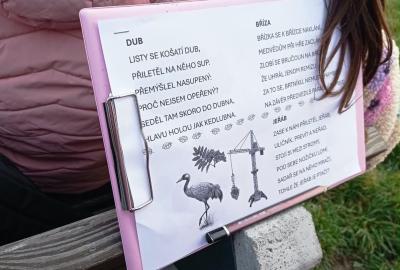 Projektový den - Den stromů 20. 10. Krásná louka