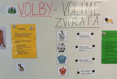 Volíme zvířata