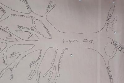 Naše škola a hodnoty