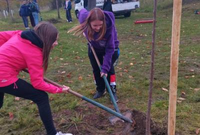 Pomáháme přírodě - žáci školy opět i v letošním roce 2025 zasadili dvě třešně