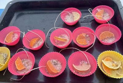 Zimní mrazivé počasí