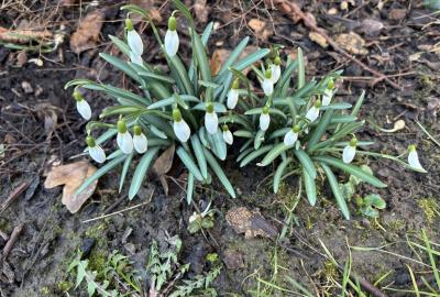 Jarní procházka č. 1