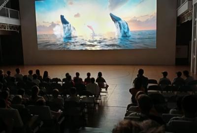 Filmový festival