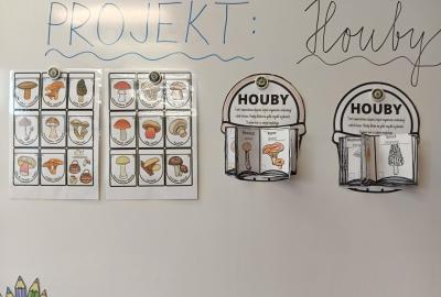 Houby